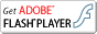 Flash Player������������